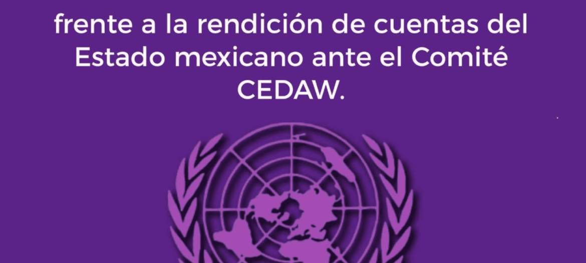Posicionamiento de la Red Nacional de Refugios: “Reflexiones críticas sobre las audiencias de México ante el Comité CEDAW”
